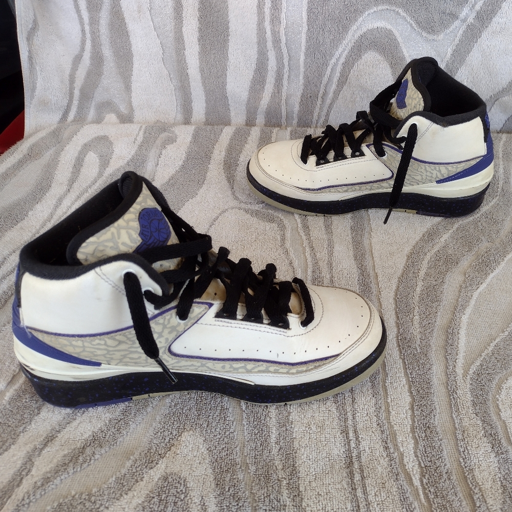 Air Jordan 2 Retro Concord Purple